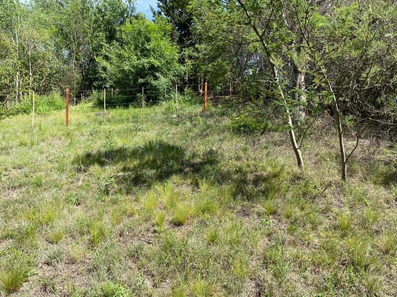 Foto de VENTA DE TERRENO EN CUATRO HORIZONTES EN VILLA GENERAL BELGRANO, imagen 5