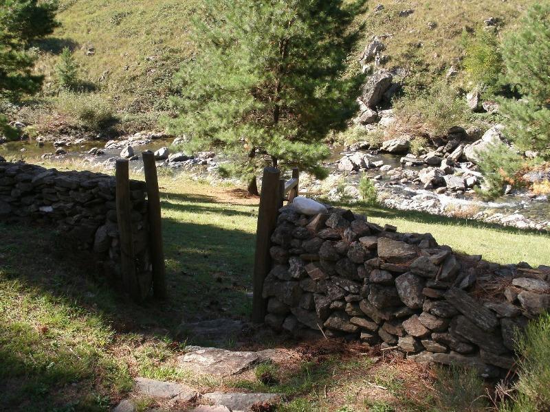 Venta de 50 Has en San Miguel de Los Rios - Inv0138 5