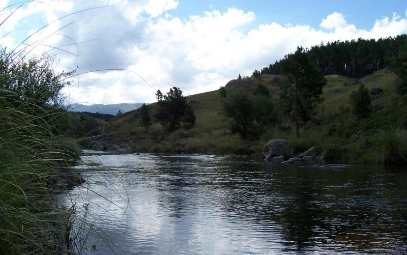 Venta de 50 Has en San Miguel de Los Rios - Inv0138 3