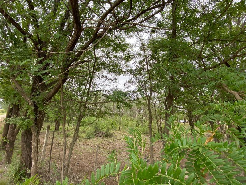 Foto de EN VENTA FRACCIÓN DE 16.684 M2 EN LOS REARTES, EN LOMA DORADA - TLC0770, imagen 5