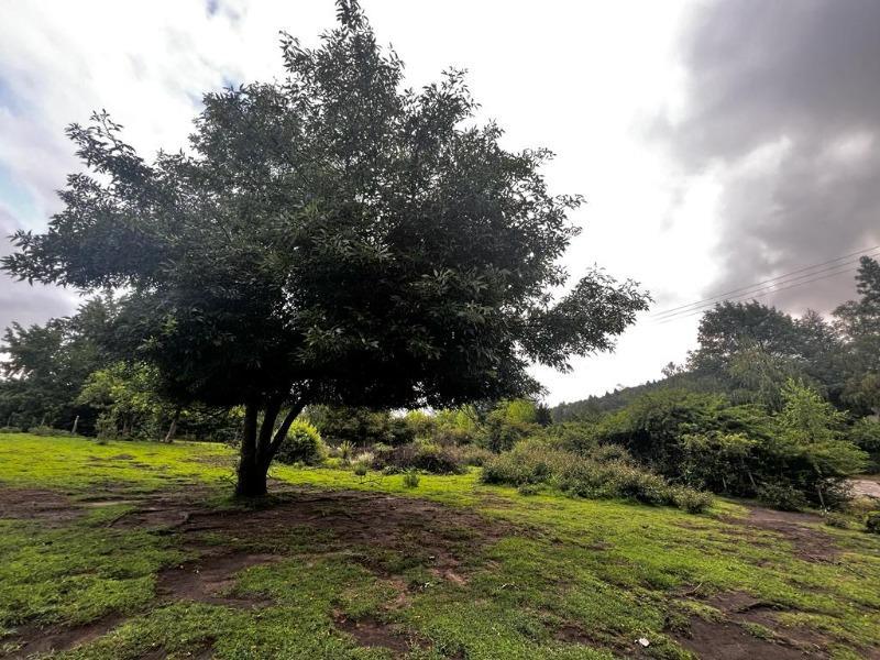 Venta de 2 Hectáreas en La Cumbrecita - Inv0153 5