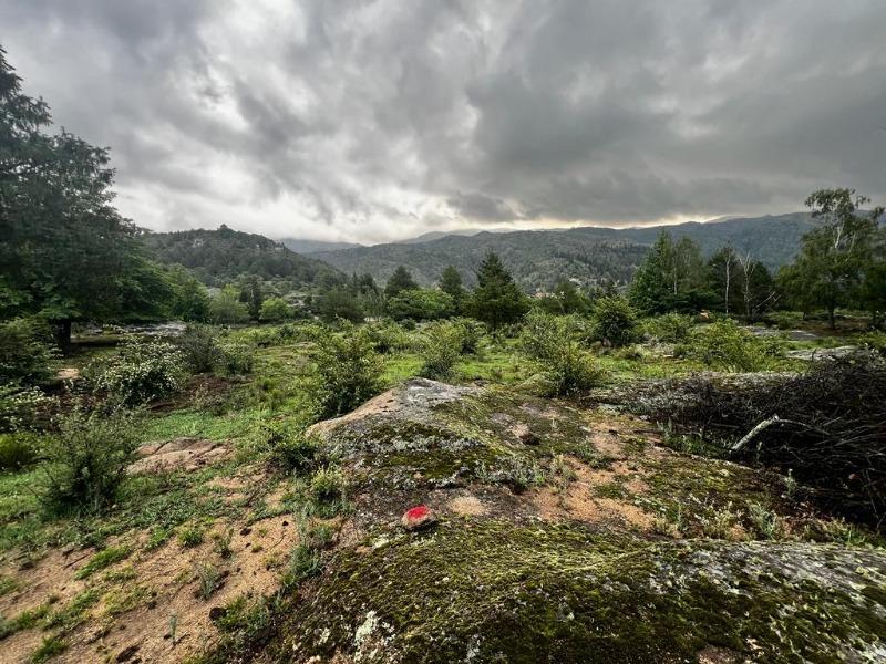 Venta de 2 Hectáreas en La Cumbrecita - Inv0153 2
