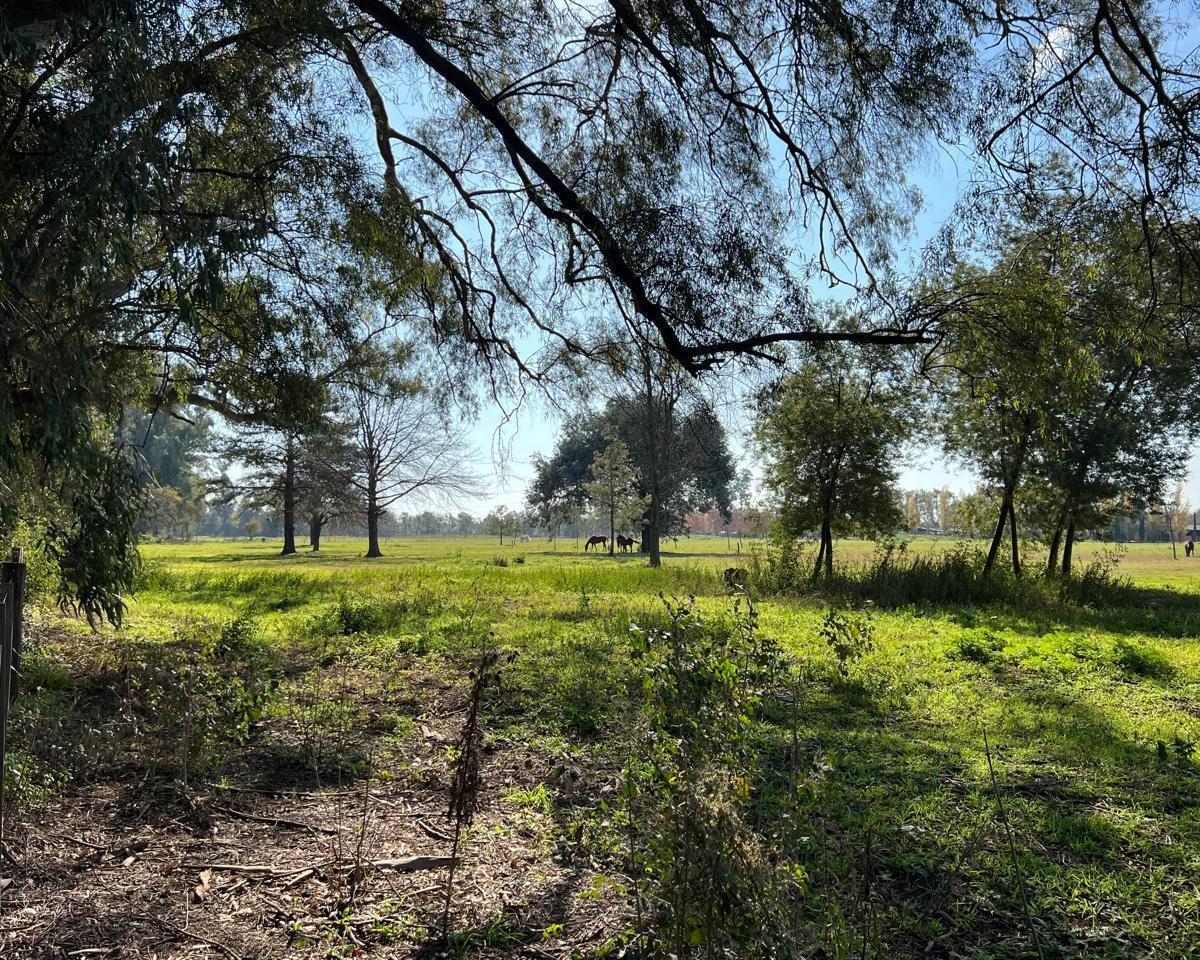 Campo en venta en General Rodriguez