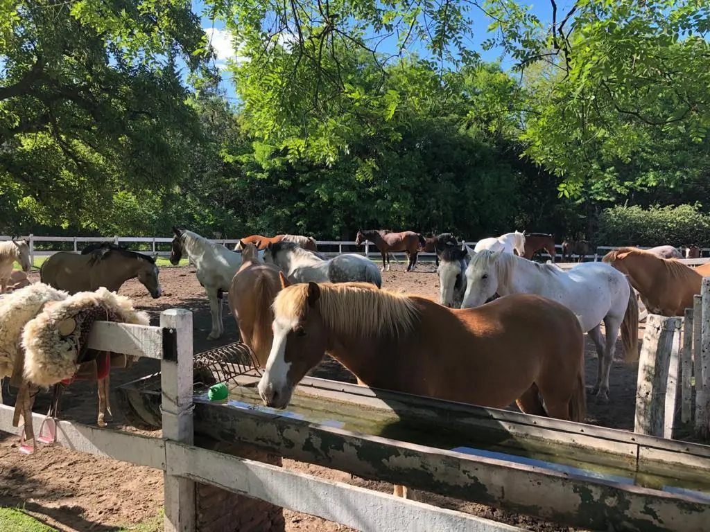 Venta en Estancia El Aduar Club de Chacras 2 has Bosque y llano, con mejoras 3