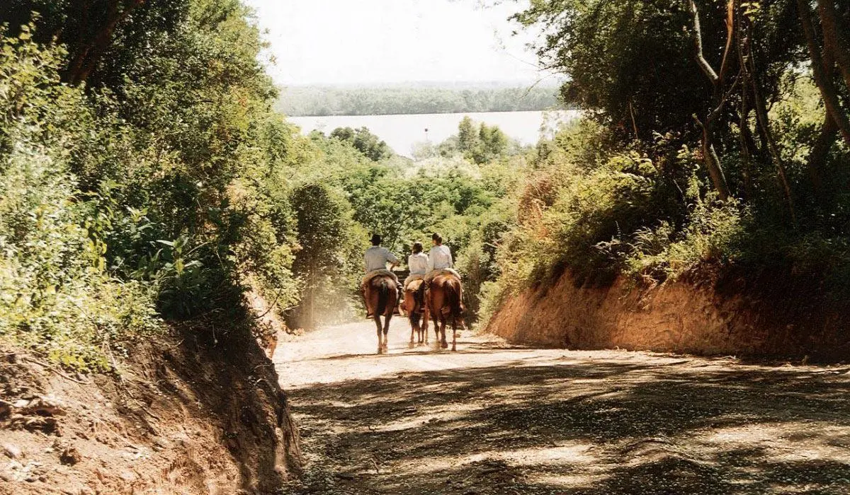 Venta en Estancia El Aduar Club de Chacras 2 has Bosque y llano, con mejoras 5
