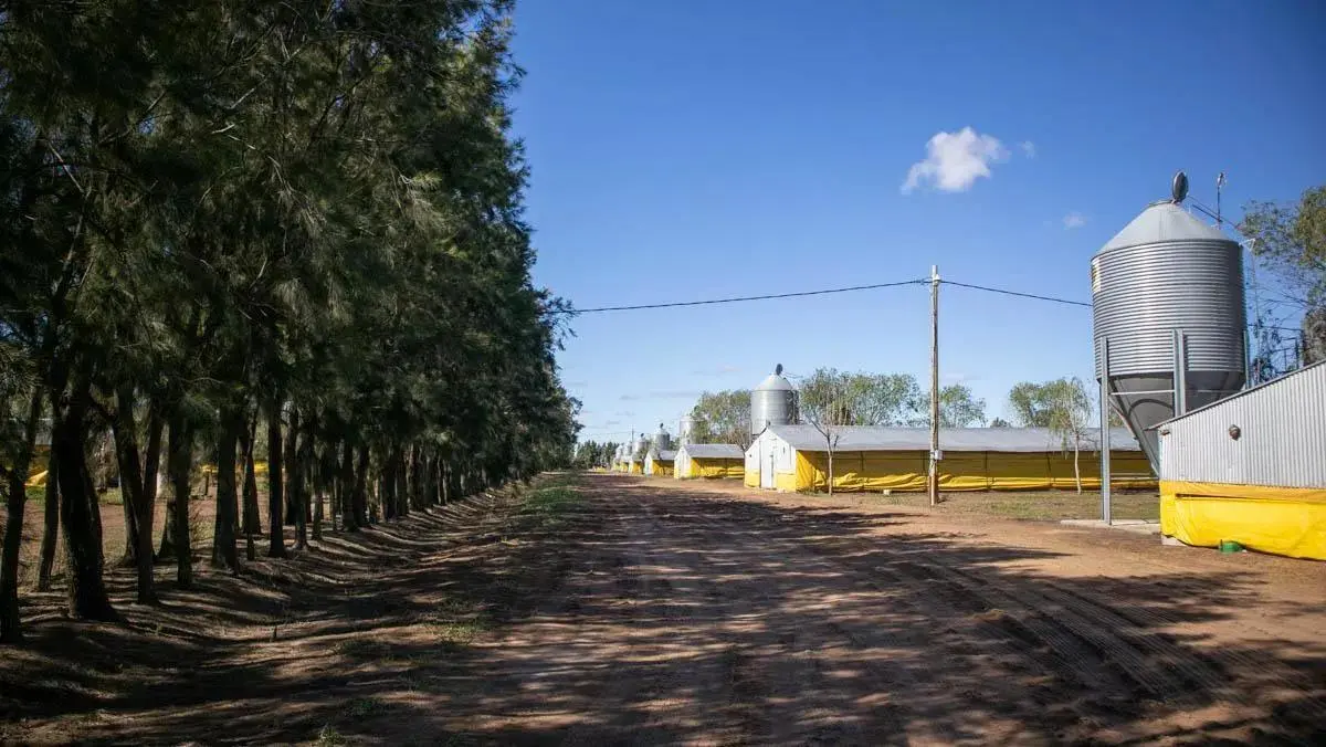 Campo en venta en Pedernales 4