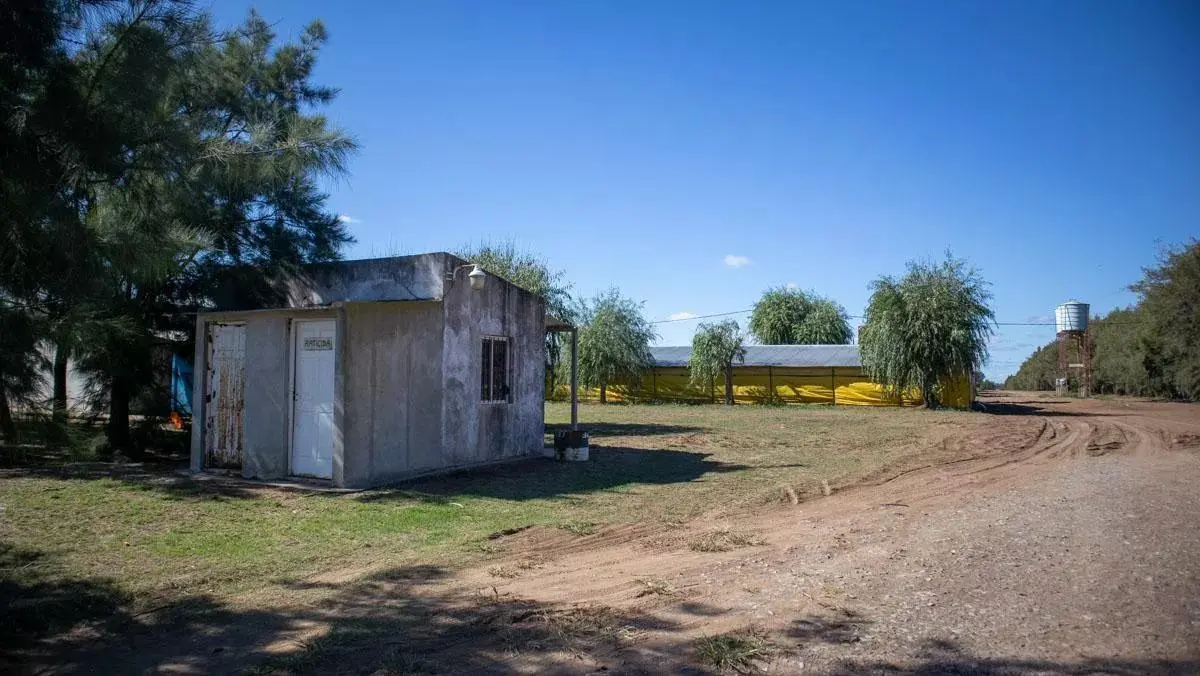 Campo en venta en Pedernales 5