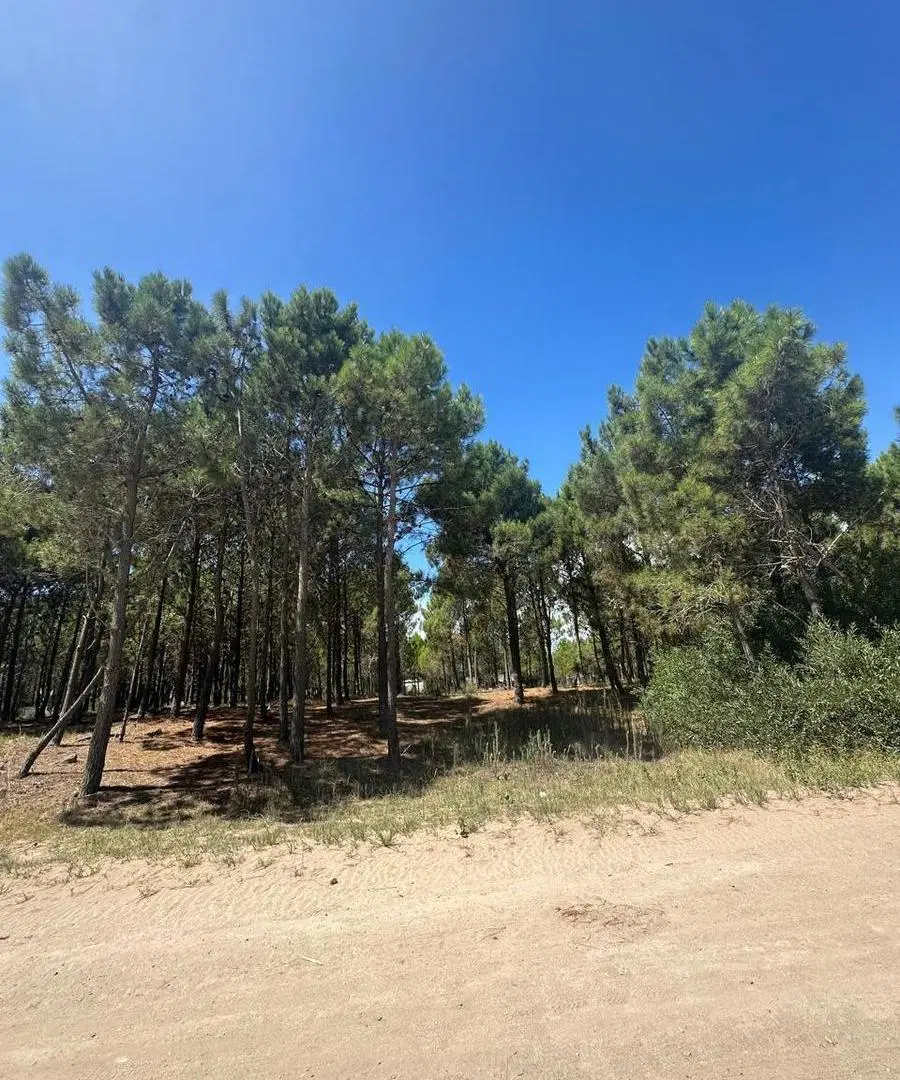 Terreno en Costa Del Este 2