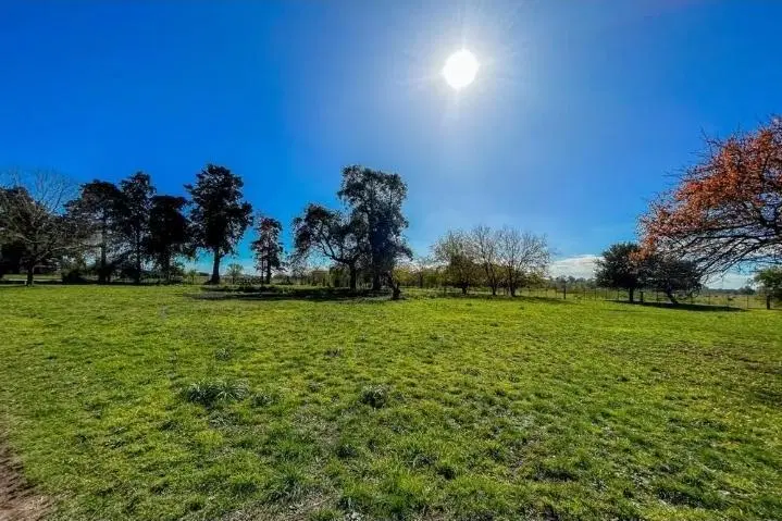 Venta Campo con Casco y Habilitación Productiva en Marcos Paz Buenos Aires Interior 2
