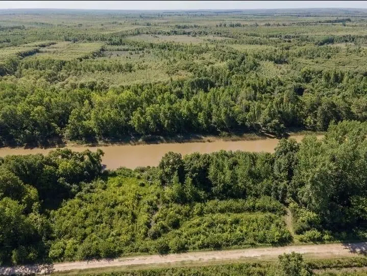 Campo en venta de 6has. Mixto único en la Zona Acceso por Balsa Canal Alem Campana. 5