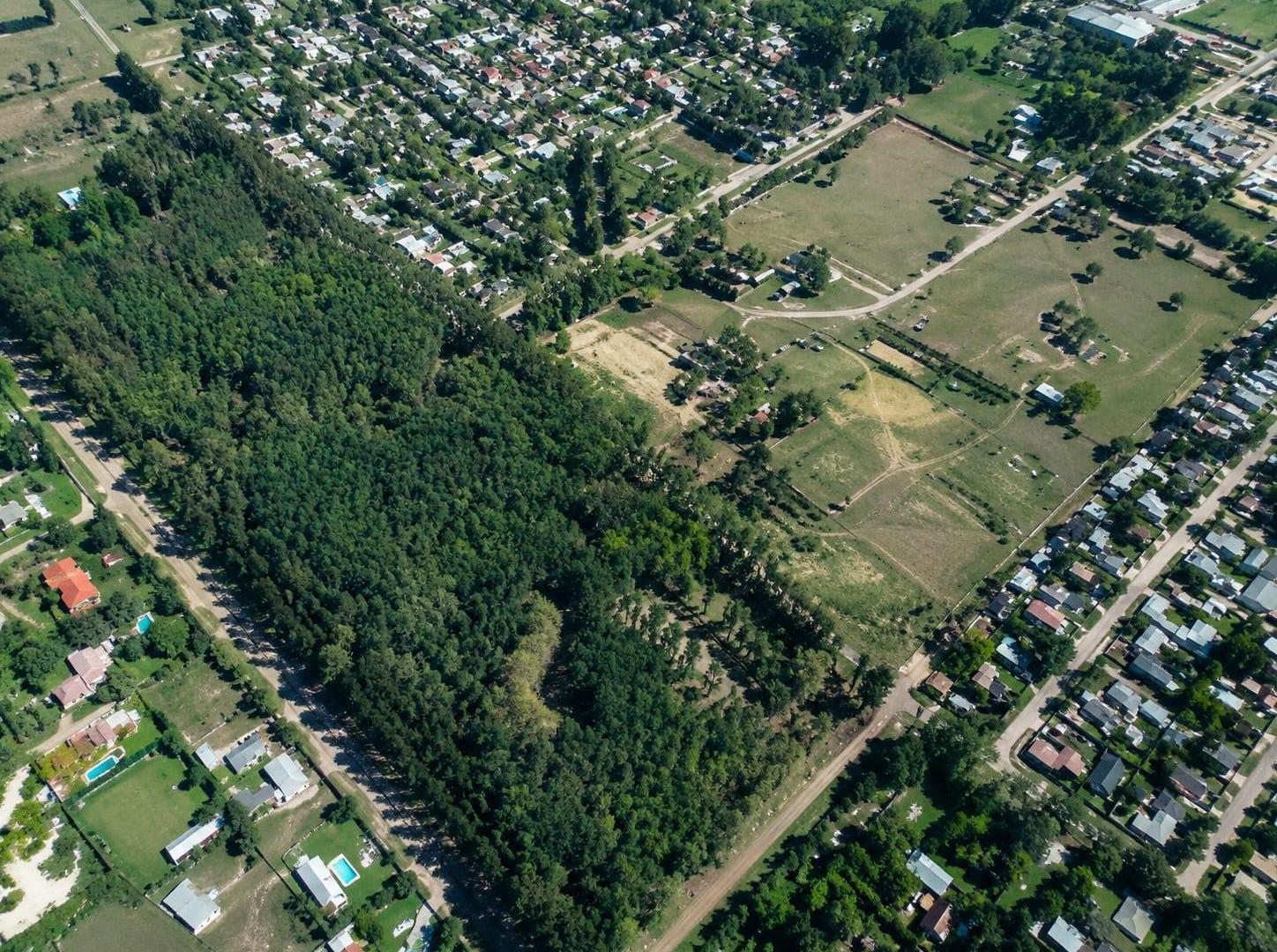 Venta Terreno 8 Hectareas Fatima Pilar