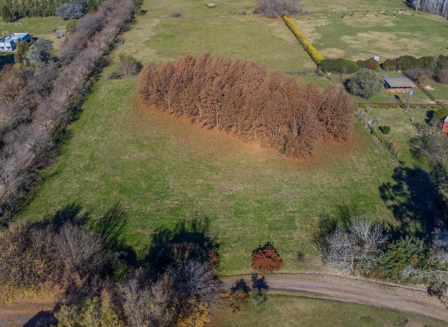 Foto de Terreno en Loma Escondida, imagen 4