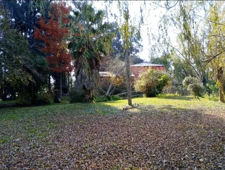 Venta 6 Cabañas Canal Arias Seccion 1 Delta del Paraná Equipadas y Restaurant Turismo 2