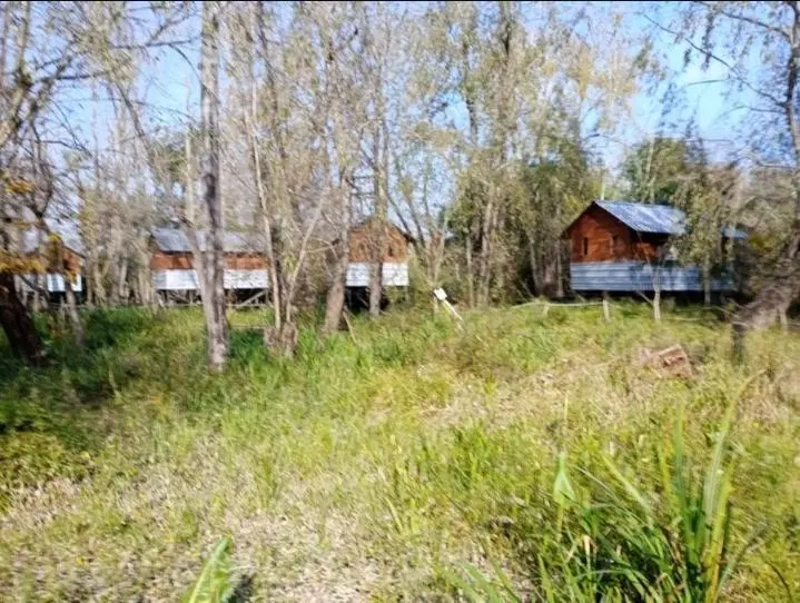 Venta 6 Cabañas Canal Arias Seccion 1 Delta del Paraná Equipadas y Restaurant Turismo 4