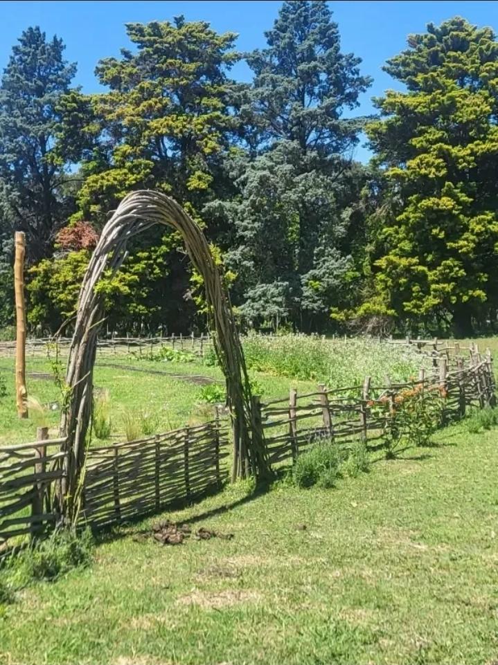 Foto de Venta Campo Mixto 38 Hectáreas sobre Ruta 9 Zárate Casco Principal más, imagen 4