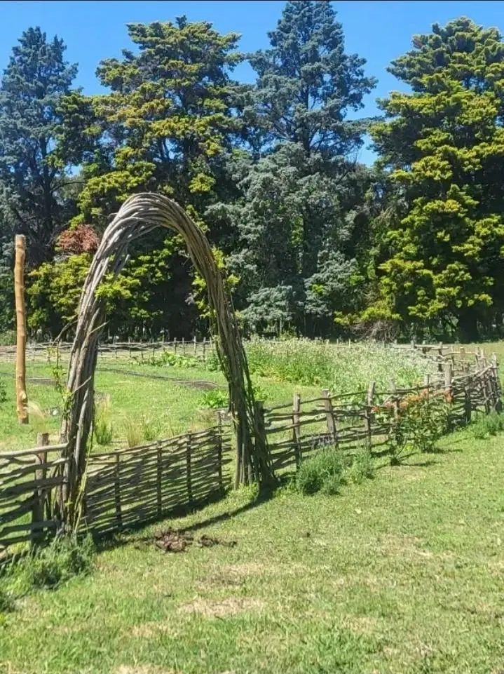 Venta Campo 40 Ha sobre Ruta 9 con 500 m de frente – Ideal desarrollo, logística o inversión 4