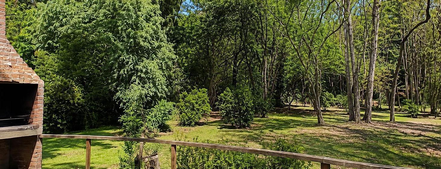 Foto de Venta Terreno 7,8 Hectáreas Arroyo Pacífico Segunda Sección del Delta, imagen 4