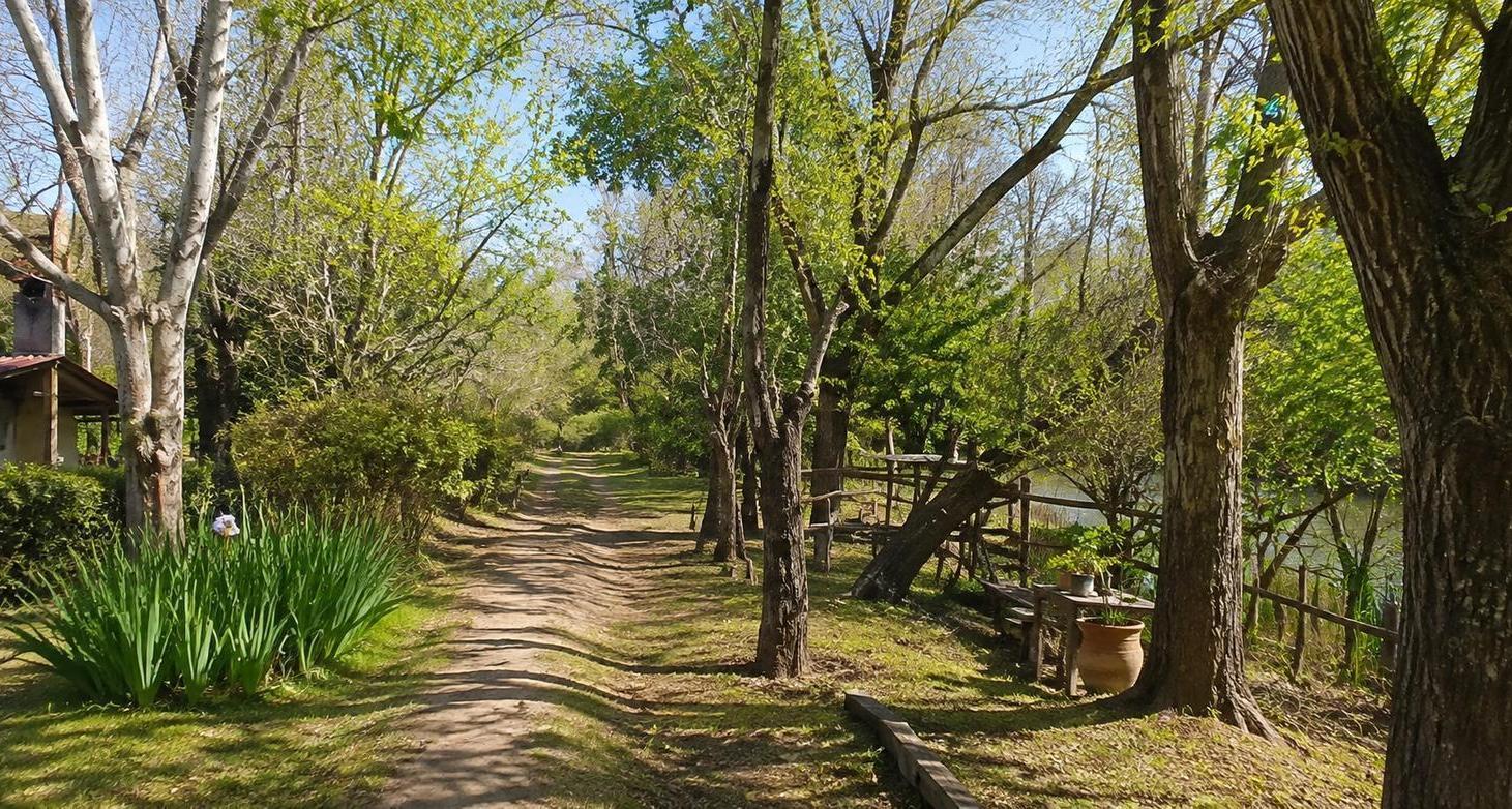 Foto de Venta Terreno 7,8 Hectáreas Arroyo Pacífico Segunda Sección del Delta, imagen 1