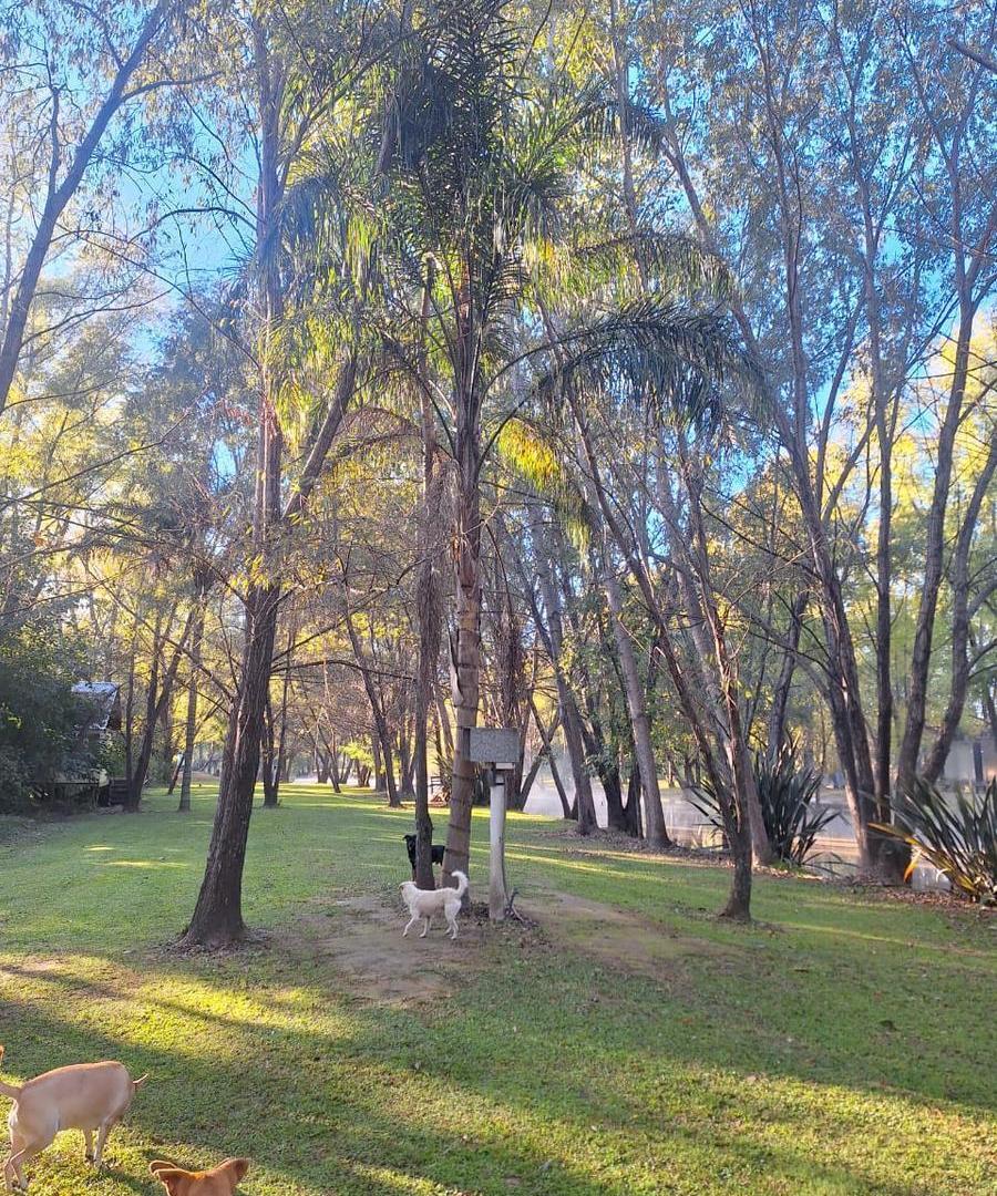 Foto de Terreno en Venta Palmares del Delta San Fernando con Muelle y playa, imagen 3
