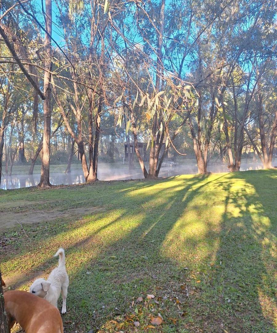 Foto de Terreno en Venta Palmares del Delta San Fernando con Muelle y playa, imagen 2