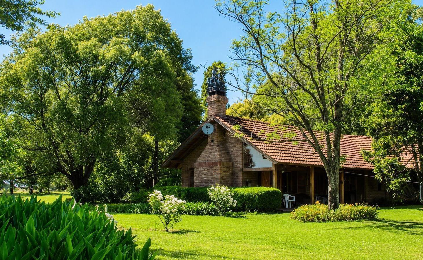 Foto de Campo en venta de 155 m² en Arrecifes, oportunidad, imagen 2
