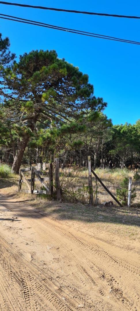Lote a la venta de 1140m² en el Pinar de Lucila del mar.