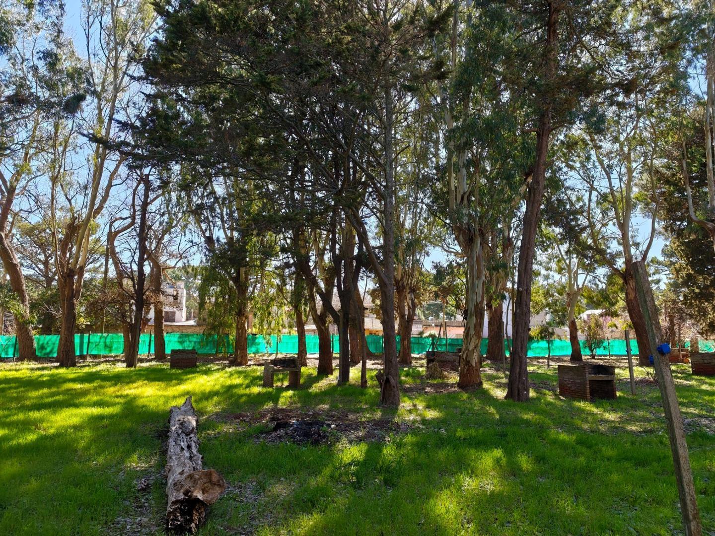 Foto de Camping en Mar de Ajó: 6.000 m² para vivir del verano, imagen 3