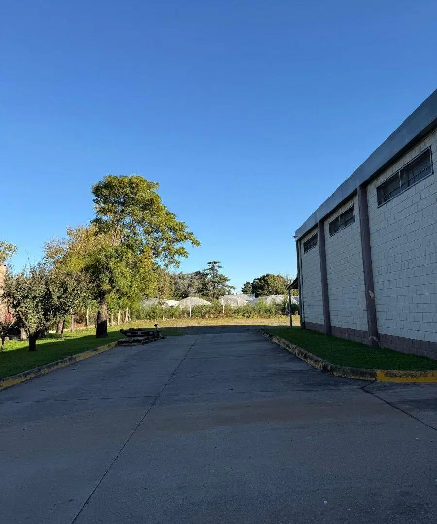 GALPÓN INDUSTRIAL CON OFICINAS – 1.200 m² | ZONA NORTE – A METROS DE JUAN B. JUSTO 5