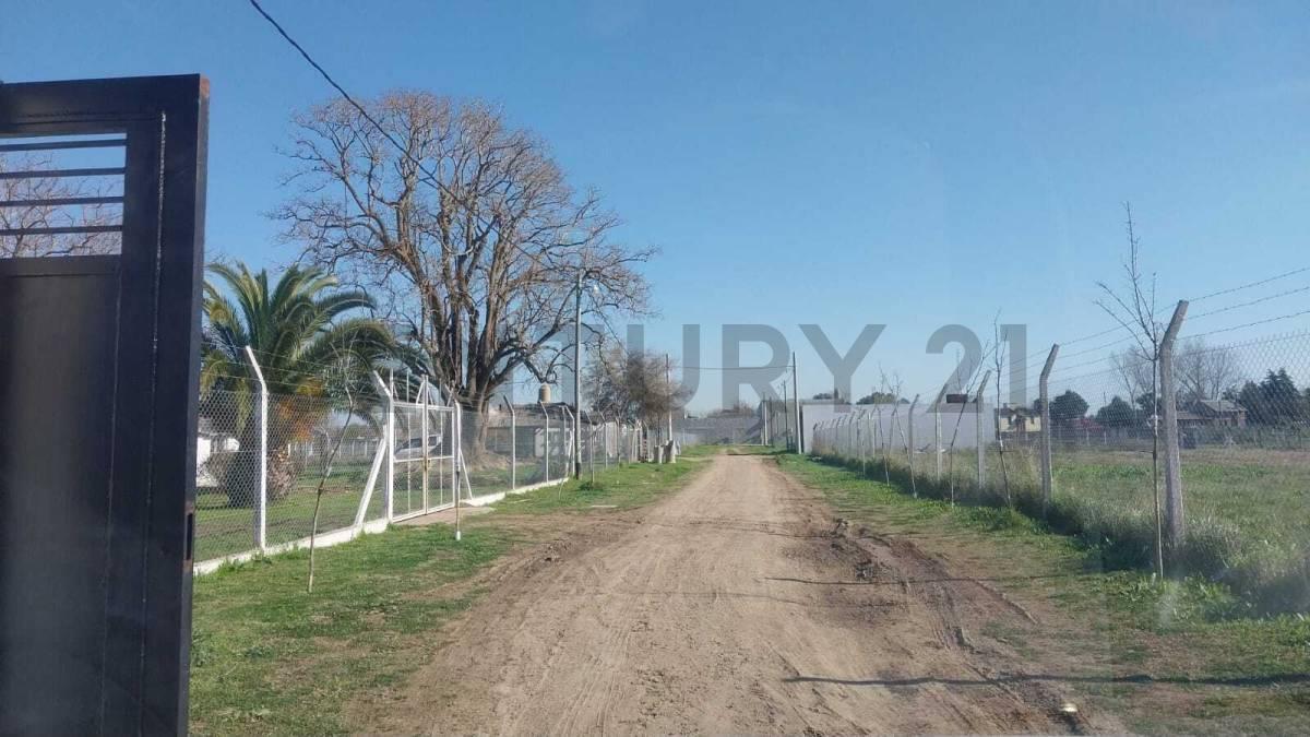 Foto de 645 129 Y 130 Lote en venta. Barrio La Hermosura. La Plata, imagen 1