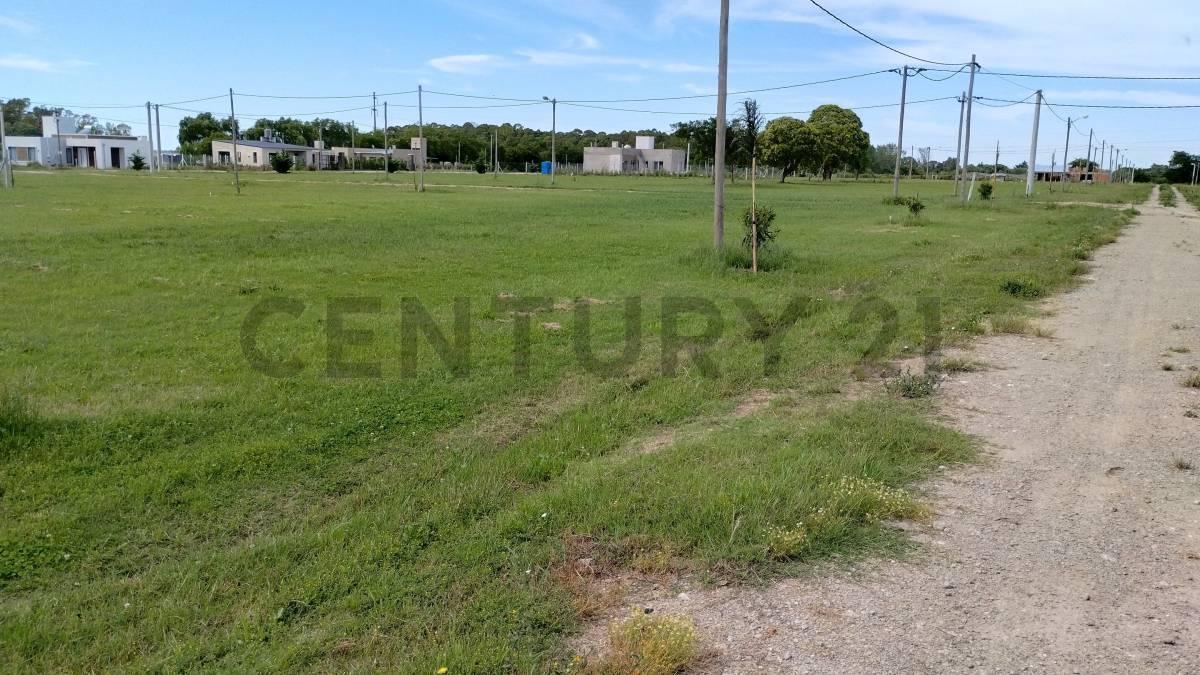 143 y 620 Lotes en venta Arana