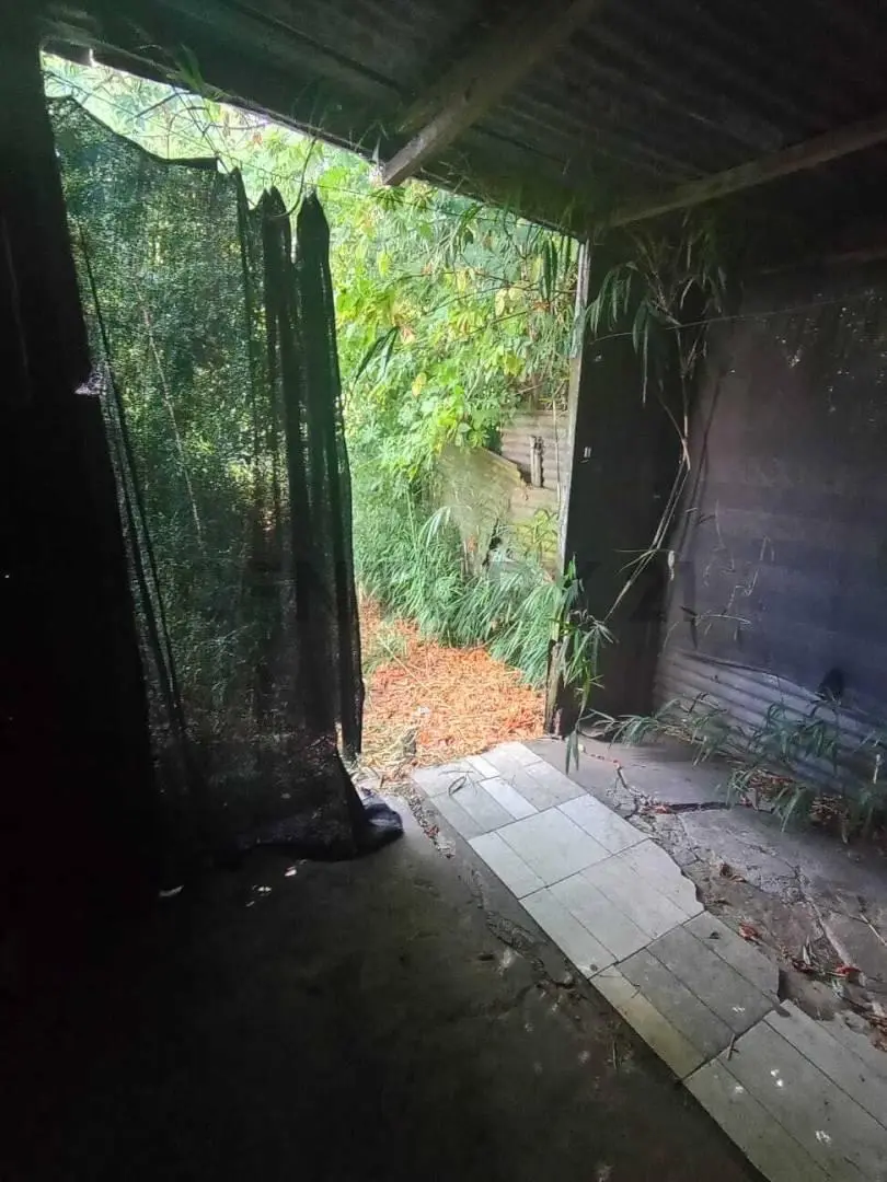 117 entre 34 y 35. Casa de 2 dormitorios a reciclar en venta en La Plata 8