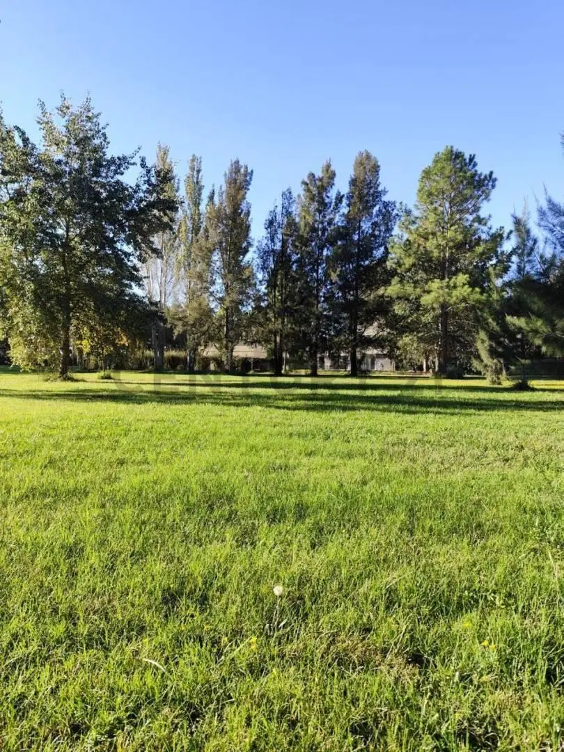 Ruta 2 Km 65, Club de Campo y Spa Miralagos II. Lote en venta 2