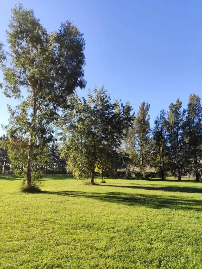 Ruta 2 Km 65, Club de Campo y Spa Miralagos II. Lote en venta 4