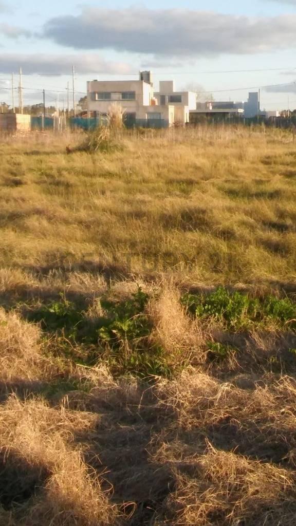 3 esquina 489. Lote en venta, Gonnet.