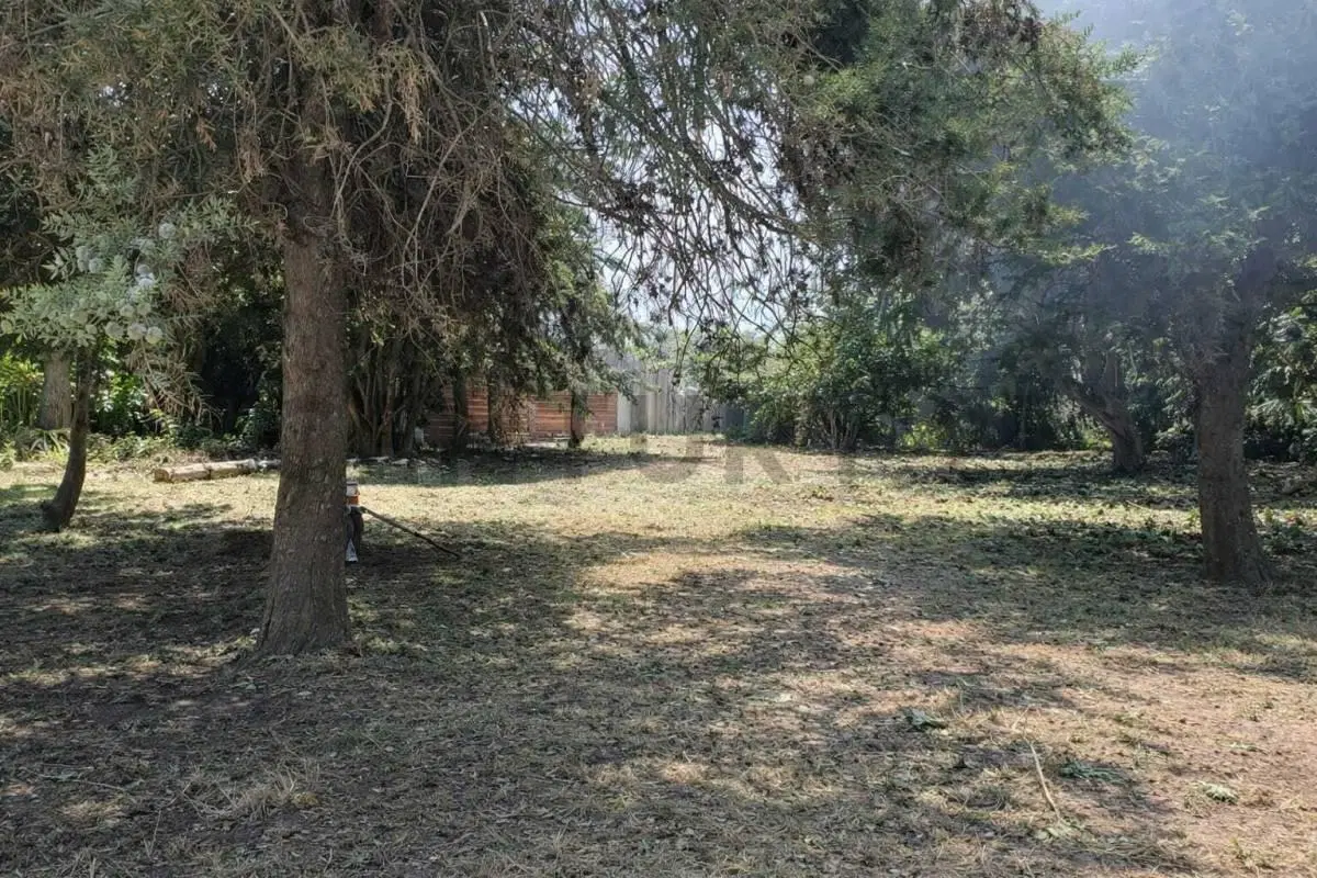 Calle 13 entre 24  y calle a ceder. Venta Terreno en Coronel Brandsen. 3