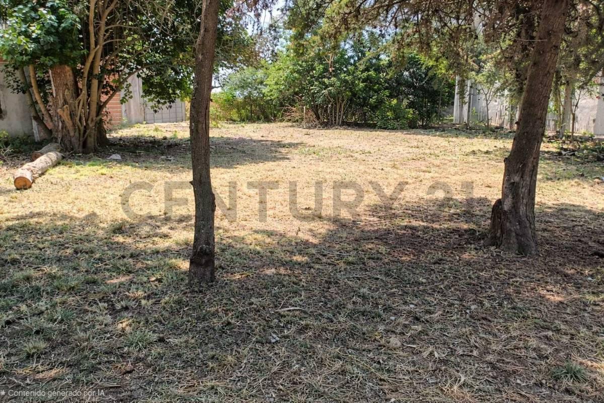 Calle 13 entre 24 y calle a ceder. Venta Terreno en Coronel Brandsen.
