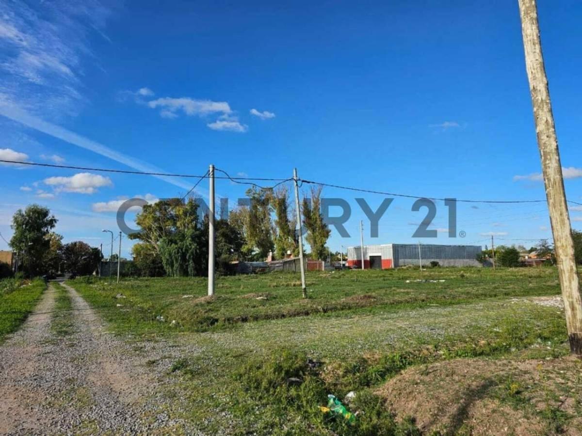 Foto de 529bis entre 144 y 145 Lote en PH., imagen 1