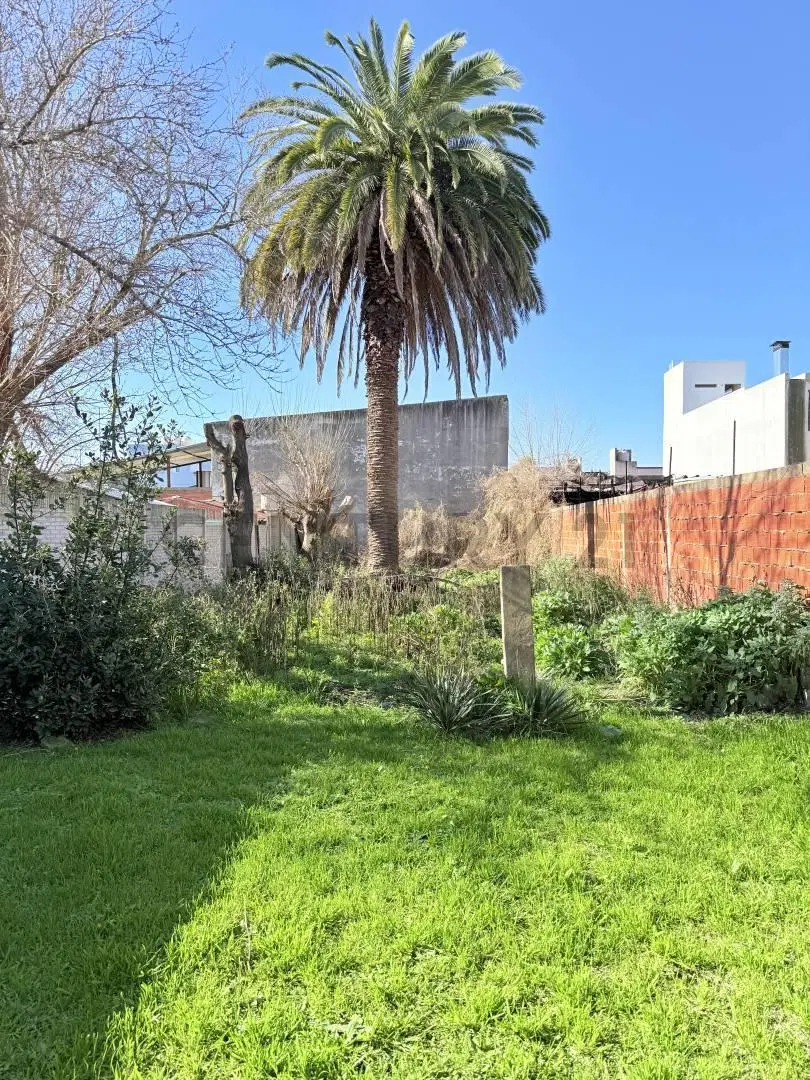 132 entre 37 y 38. Venta de Terreno en La Plata. 4