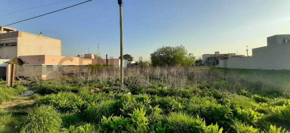 141 entre 36 y 37, Lote en Venta, San Carlos .-