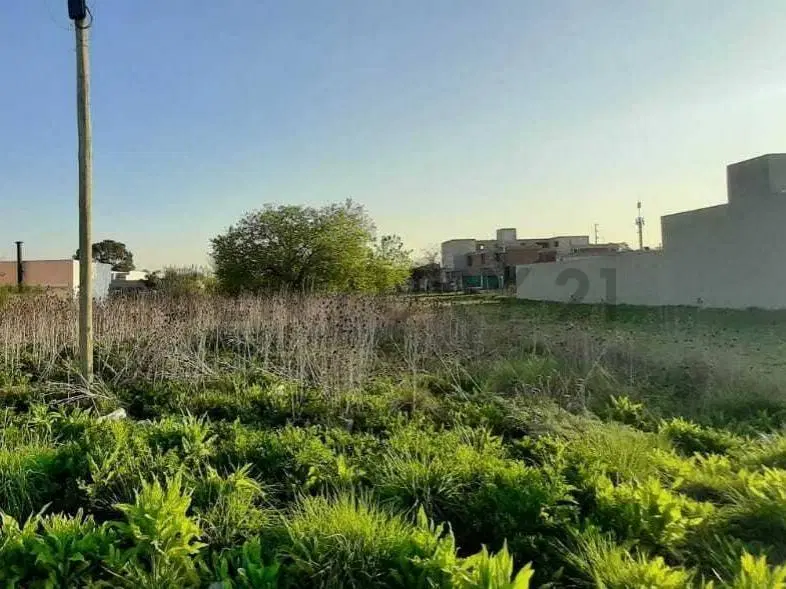 141 entre 36 y 37, Lote en Venta, San Carlos .- 2