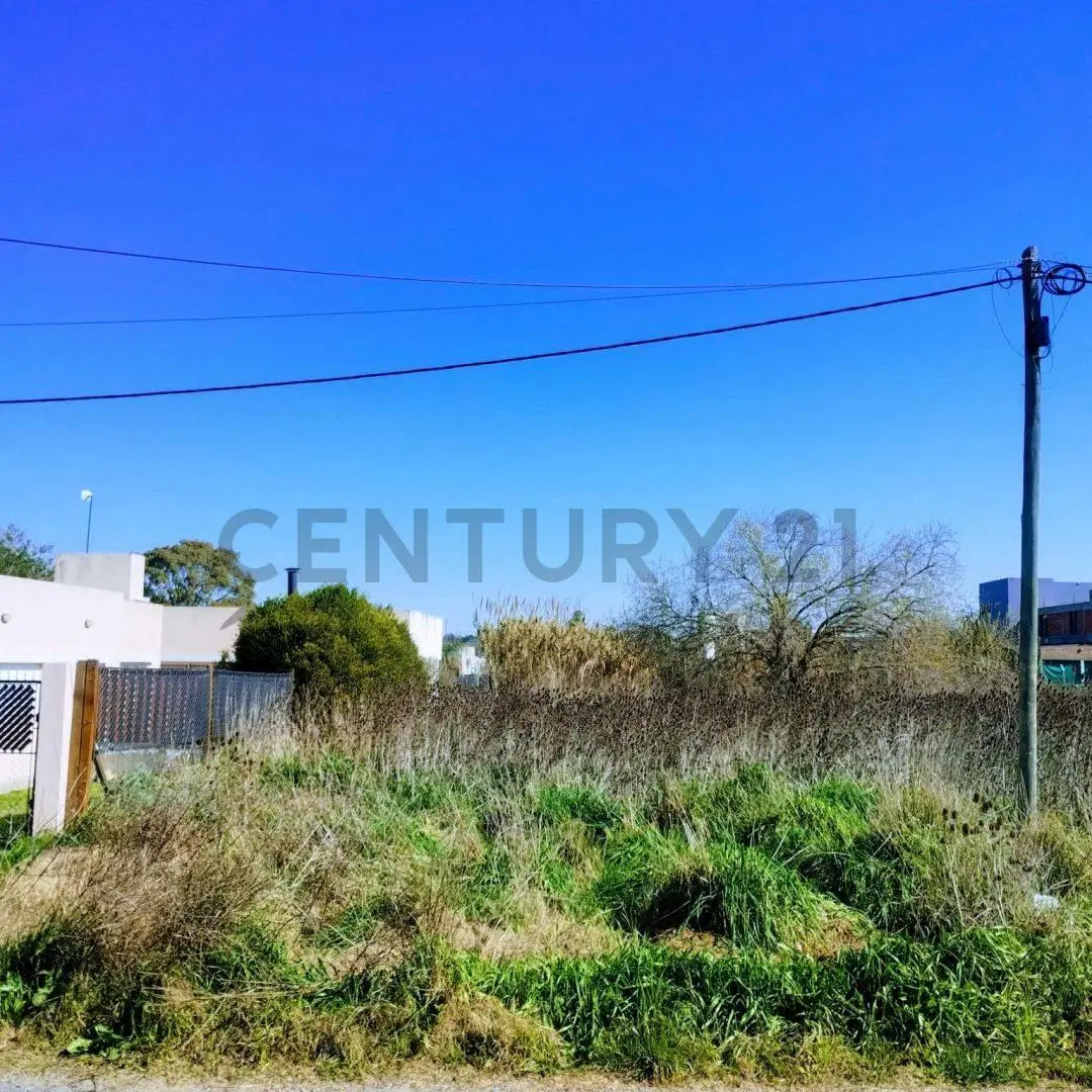 141 entre 36 y 37, Lote en Venta, San Carlos .- 4