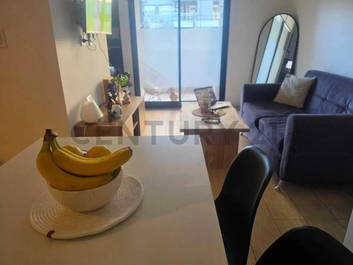 38 ENTRE 17 Y 18- DEPARTAMENTO EN ALQUILER 1 DORMITORIO- LA PLATA 4