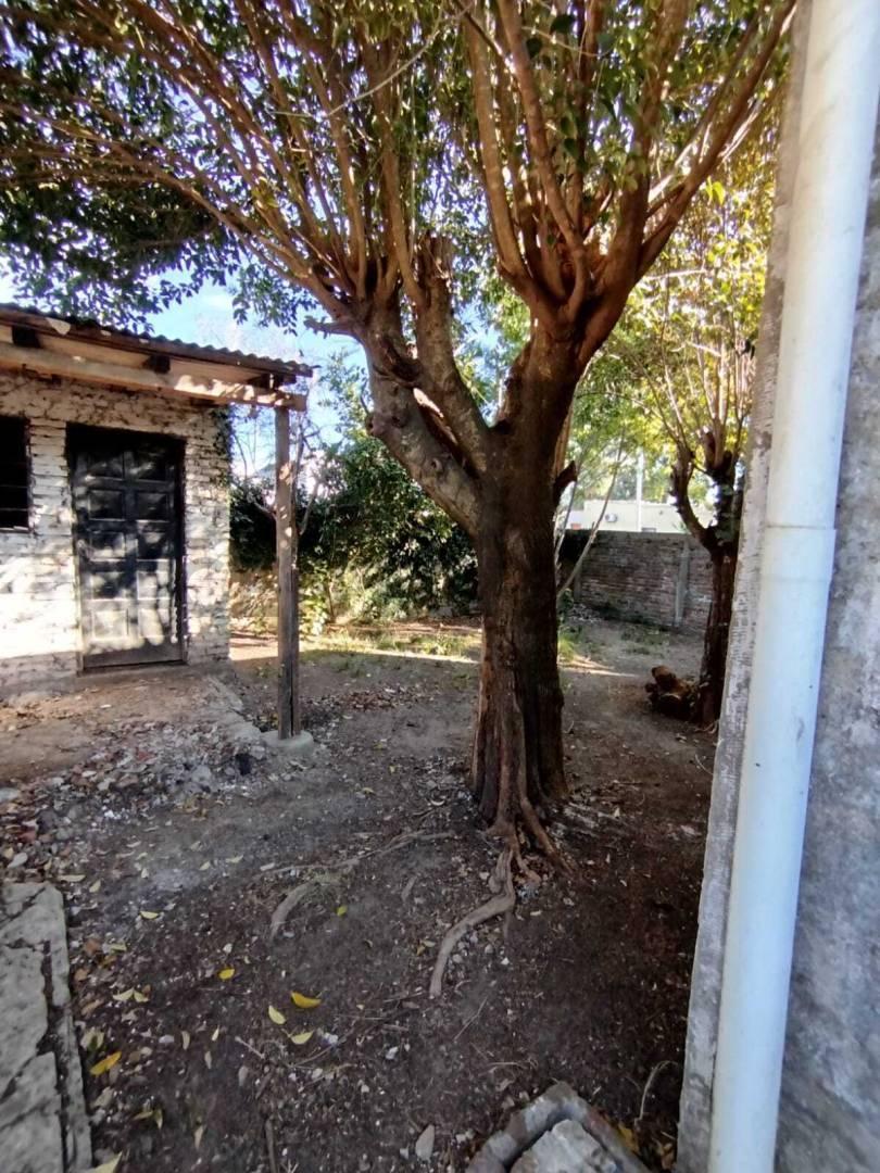 Foto de CASA EN VENTA LISANDRO OLMOS, imagen 3