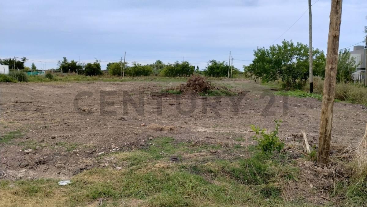 Foto de Lotes en Villa Castels, imagen 4