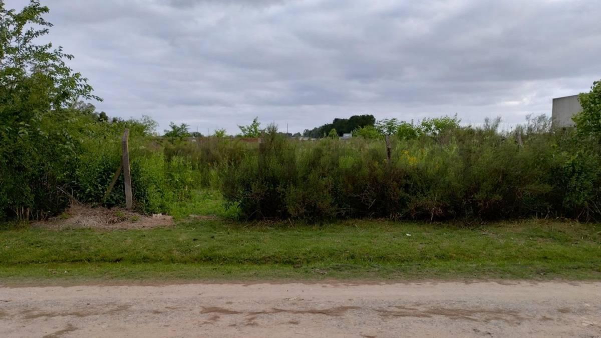 Foto de Lote en venta, imagen 5