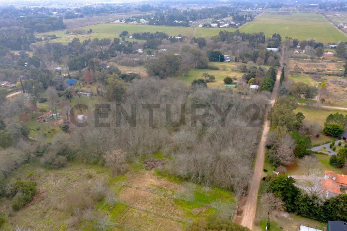 Foto de Lote. Calle 646 esquina 20., imagen 2