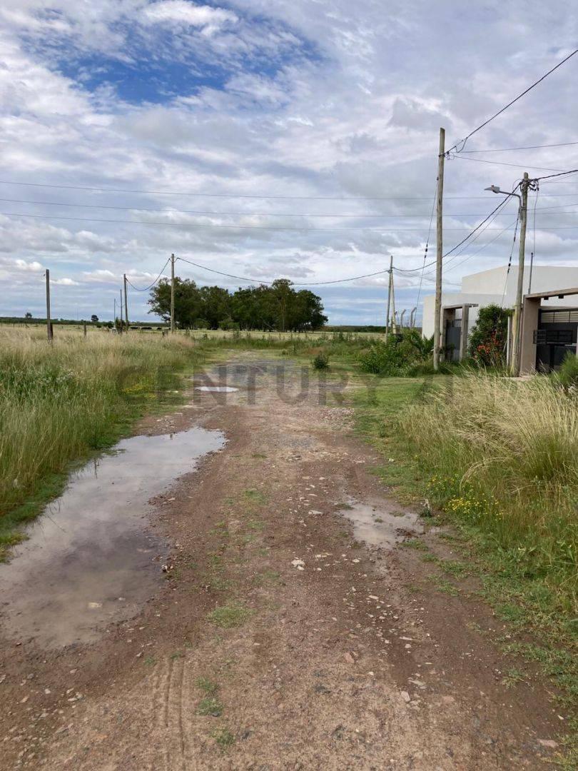 Foto de Lote en venta, imagen 4