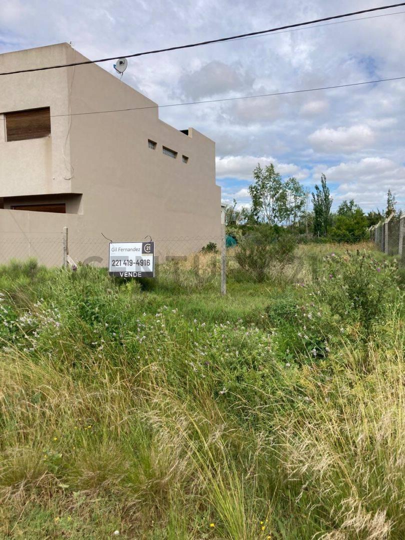 Foto de Lote en venta, imagen 3