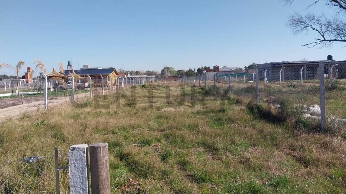 Foto de 645 129 Y 130 Lote en venta. Barrio La Hermosura. La Plata, imagen 3