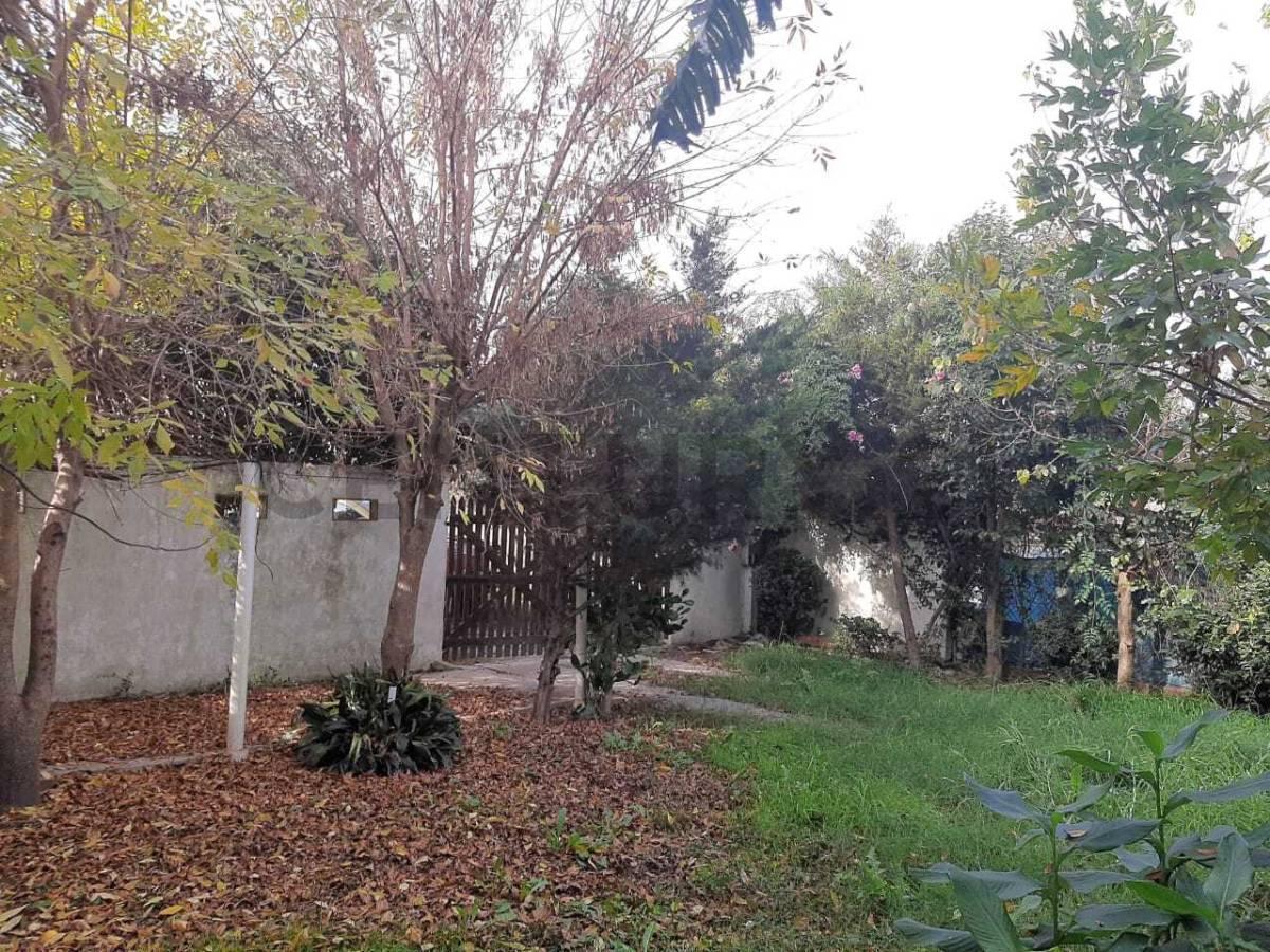 Foto de 205 bis e/ 49 y 50. Casa en Venta en Olmos, imagen 5